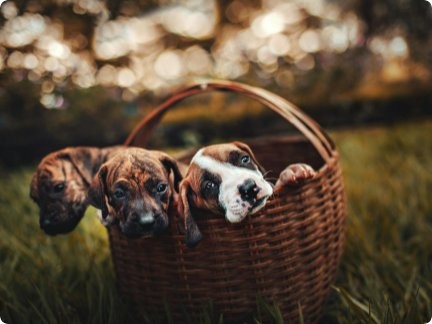 Các trường hợp mới nhất của công ty về Anh và EU cảnh báo rằng thời gian đang hết cho thỏa thuận thương mại Brexit